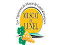 Muscat de Lunel