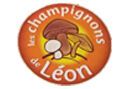 Champignons de Léon