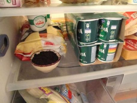 ADVICE MAIN IMAGE bol de marc de café MALONGO  dans frigo