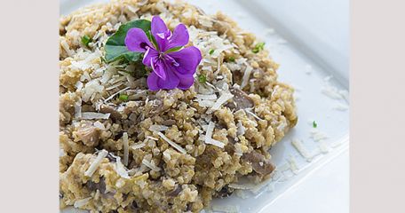 RECIPE MAIN IMAGE Risotto de quinoa aux champignons