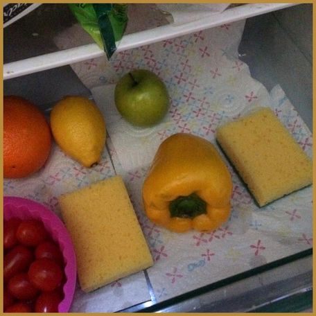 ADVICE MAIN IMAGE Contre l'humidité bas à légumes frigo