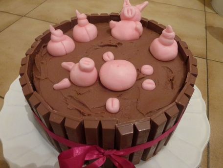 RECIPE MAIN IMAGE Gâteau bain de chocolat pour cochons
