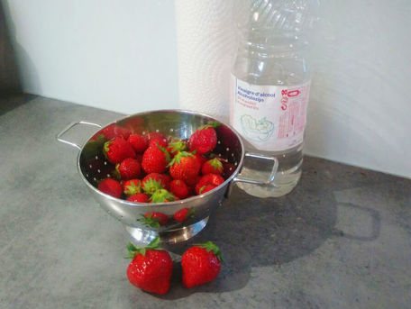 ADVICE MAIN IMAGE Conserver des fraises plus longtemps