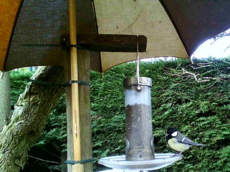 ADVICE MAIN IMAGE Favoriser la biodiversité : abriter les mangeoires des oiseaux du jardin