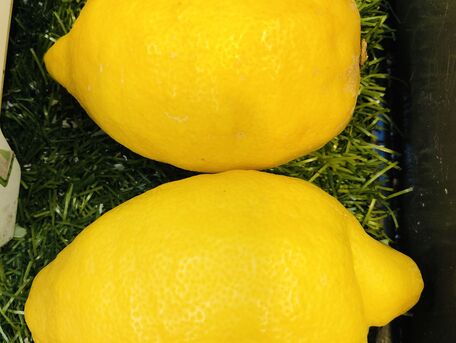 ADVICE MAIN IMAGE Du citron pour avoir des pieds tout doux 