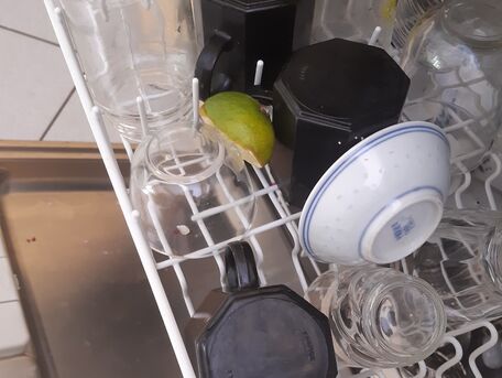 ADVICE MAIN IMAGE Ne jettez pas vos citrons, Mettez les au lave vaisselle 