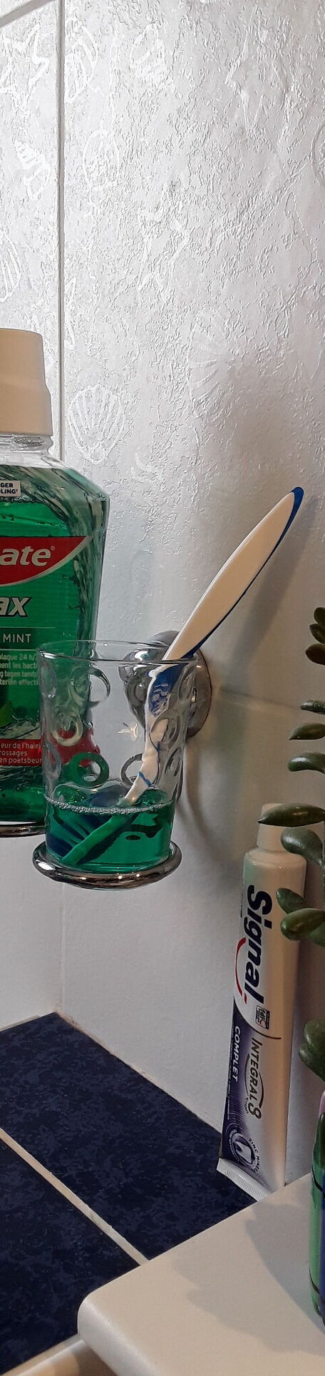 ADVICE MAIN IMAGE Astuce pratique pour avoir une brosse à dents toujours saine