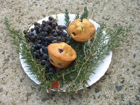 RECIPE MAIN IMAGE Muffins raisin noir et romarin