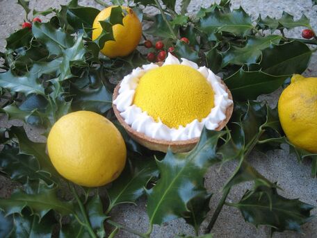 RECIPE MAIN IMAGE Tartelette citron mascarpone