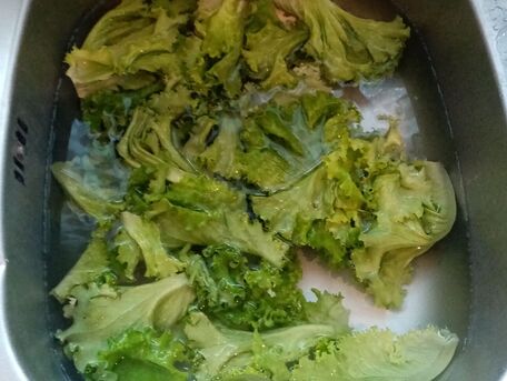ADVICE MAIN IMAGE Laver sa salade efficacement