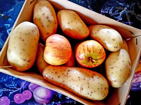 ADVICE MAIN IMAGE Le mariage pommes en l\'air/pommes de terre pour éviter la germination de ces dernières