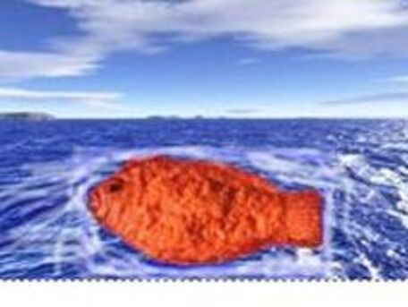 RECIPE MAIN IMAGE Gros poisson rouge pour fêter ce 1er jour du Mois ...