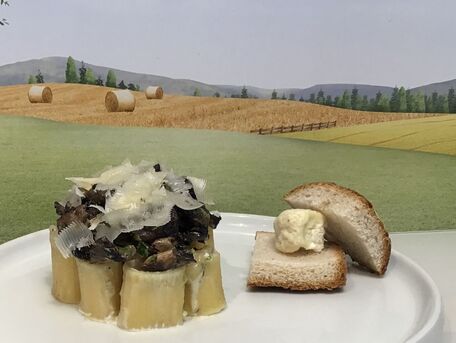 RECIPE MAIN IMAGE Mezze Maniche Rigate aux champignons et Duo de fromages 