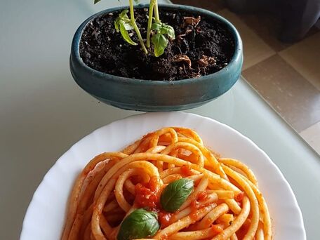 RECIPE MAIN IMAGE Pasta italienne