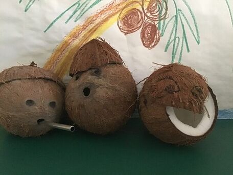 ADVICE MAIN IMAGE Les vacances …La plage … la paille … La noix de coco !!!