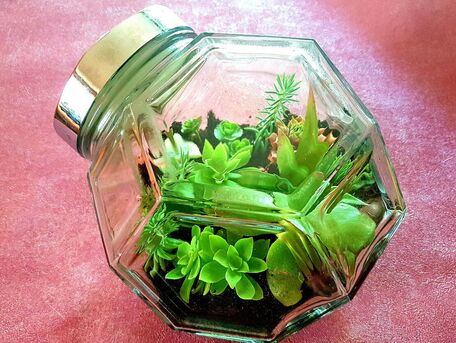 ADVICE MAIN IMAGE Un mini terrarium de plantes grasses pour économiser l'arrosage