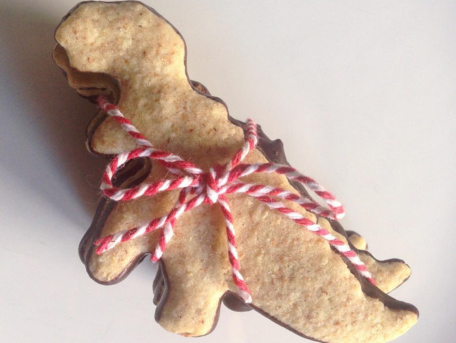 RECIPE MAIN IMAGE Petits biscuits Dinosaures à Offrir 
