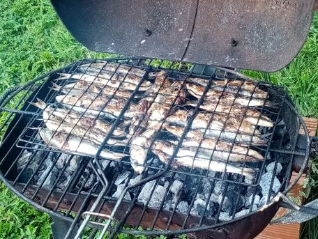 RECIPE MAIN IMAGE Un incontournable de l\'été : les sardines au barbecue