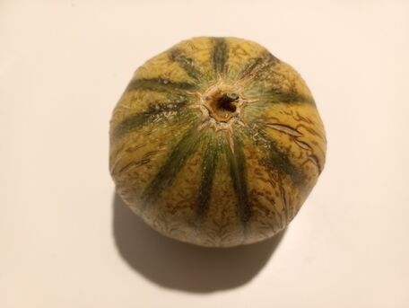 ADVICE MAIN IMAGE Un melon bien mûr