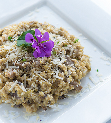 RECIPE MAIN IMAGE Risotto de quinoa aux champignons