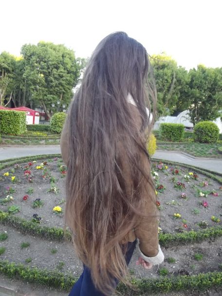Le masque pour les cheveux de lhuile de bardane avec le miel