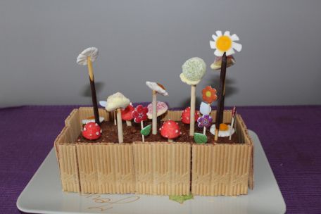 RECIPE MAIN IMAGE Jardinière de bonbons sur gâteau au chocolat !