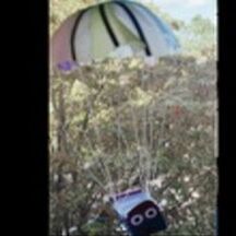 Flash caddie saute en parachute 