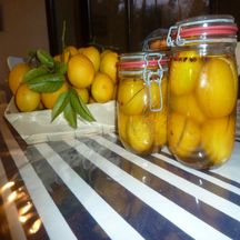 Citrons  confits au sel