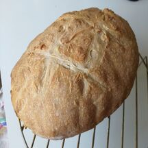 Pain au levain