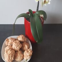 Rochers noix de coco et amandes