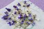 RECIPE THUMB IMAGE 2 Fleurs de violette cristallisées