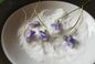 RECIPE THUMB IMAGE 3 Fleurs de violette cristallisées