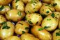RECIPE THUMB IMAGE 5 Saumon en croute de noix et ses pommes de terre grenailles confites accompagné de fraîcheurs croquantes