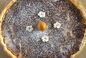 RECIPE THUMB IMAGE 5 Ma tarte aux mirabelles de mon jardin Meringuée 