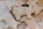 RECIPE THUMB IMAGE 3 Cochons de pain d'épices de la Sainte-Catherine (Vesoul en Franche-Comté)