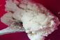 RECIPE THUMB IMAGE 4 Gâteau fromage blanc et myrtilles