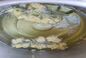 RECIPE THUMB IMAGE 4 Beignets de fleurs d'Acacia : un dessert odorant de Franche-Comté