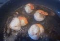 RECIPE THUMB IMAGE 5 Cassolette de cabillaud, saumon, saint jacques et crevettes grises
