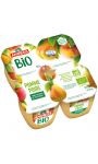 Compote pomme poire Bio Andros