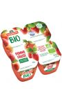 Compote pomme fraise Bio Andros