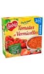 Soupe tomates & vermicelles PastaSoup' Liebig