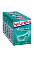 Chewing-gum extreme fresh parfum eucalyptus Hollywood