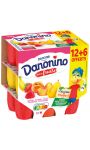 Yaourt aux fruits Danonino