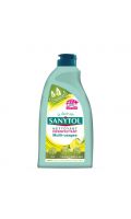 Nettoyant Désinfectant multi-usages Citron Sanytol