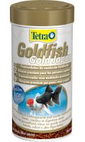 Goldfish gold japan Tetra