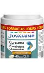 Compléments alimentaires curcuma formule complète Juvamine Phyto