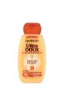 Garnier ultra doux shampooing tresor miel 250ml