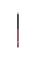 Color Icon Lip Liner Pencil E715 Plumberry Wet N Wild