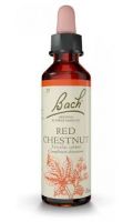 Red chestnut n°25 Fleurs de Bach