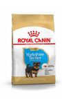 Yorkshire Junior Royal Canin